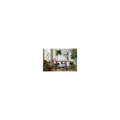 Biger Mesa para 6 Pax con Madera
