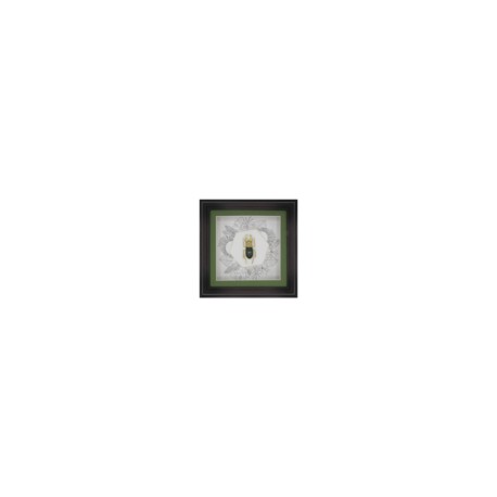 Klad Cuadro decorativo de MDF